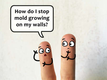 Two fingers are decorated as two person. They are discussing about problems of building. One of them is asking how to stop mold growing on walls.の写真素材
