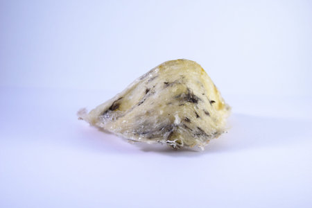 Birdnest as background. Suitable to be used for anything about investment in birdnest business.の写真素材