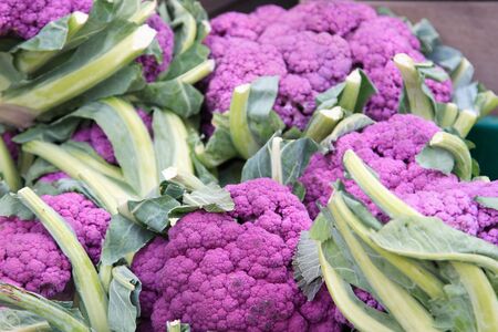 Organically grown purple cauliflower at a road side vegetable standの写真素材