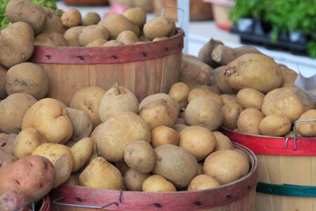 Bushels of Potatoesの写真素材