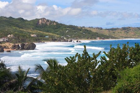 Over looking a tropical beach on the island of barbadosの写真素材