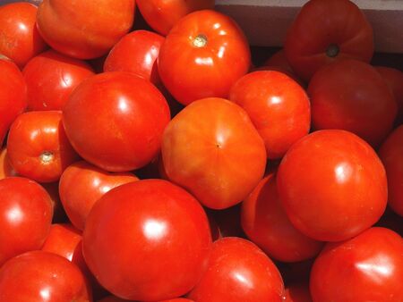Tomatoes in baskets at the farm standの写真素材