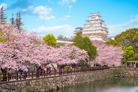 Himeji Castle with beautiful cherry blossomのeditorial素材