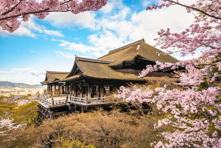 Kiyomizu-dera stage with cherry blossom in Kyotoのeditorial素材