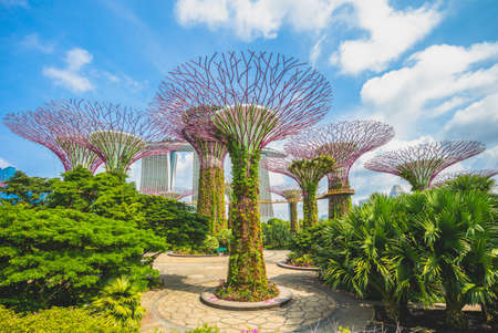 Landscape of Gardens by the Bay in singaporeのeditorial素材