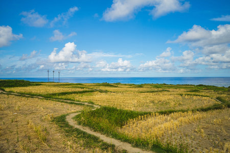 Scenery of Xinshe Terraces by the sea in hualien, taiwan