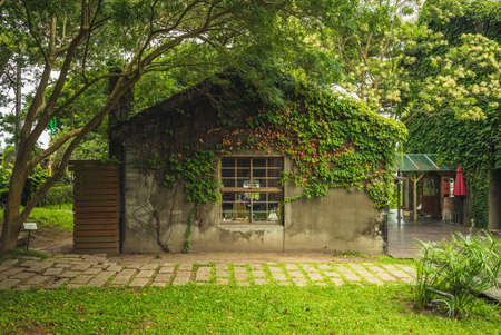 Pine Garden located in hualien city, taiwanのeditorial素材