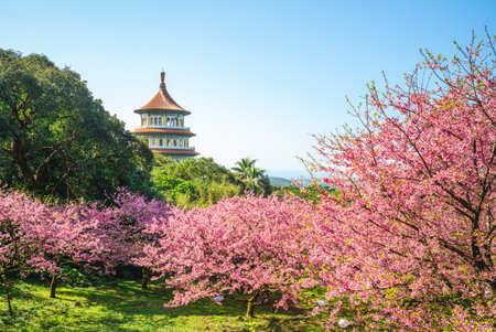 Wuji Tianyuan temple in New Taipei City, Taiwan.の写真素材