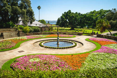 scenery of Royal Botanic Gardens in sydney, australiaのeditorial素材