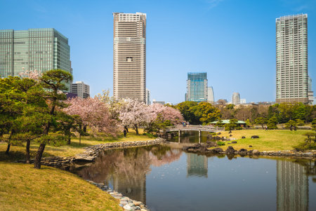 Hama Rikyu Garden, a public garden in tokyo, japan