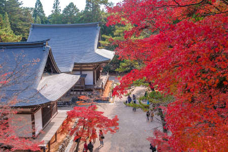 temple with autumn-color leavesのeditorial素材