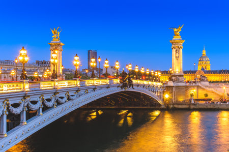 night view of Alexandre 3 Bridge in paris, franceのeditorial素材