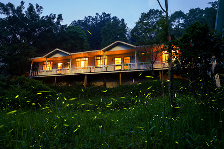 fireflies in the country side of Chiayi at nightのeditorial素材