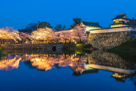 Fukuoka castle with cherry blossom in Fukuoka, Kyushu, Japanのeditorial素材