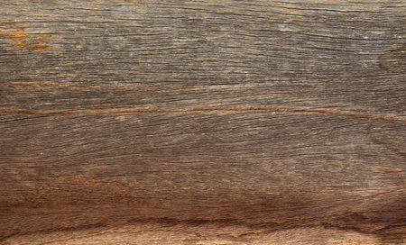wood texture from barnの写真素材