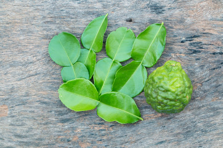 kaffir lime leaf on woodの写真素材