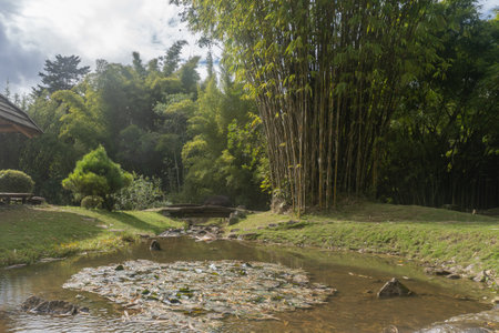 Beatiful landscape and texture for travelingの写真素材
