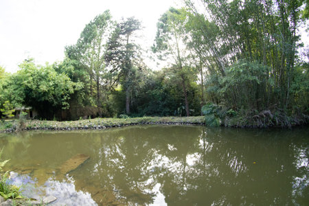 Beatiful landscape and texture for travelingの写真素材