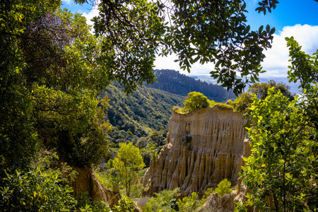 Cathedral Gully, clay cliffs in Canterbury New Zealand. View of the eroded cliffs.の写真素材