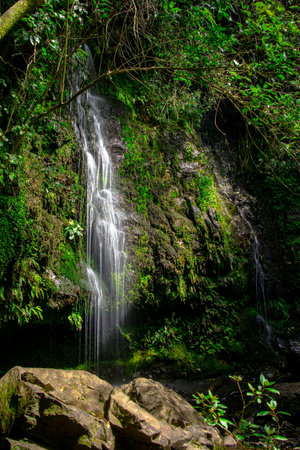 Newtons Waterfall, just outside Akaroa, Bank's Peninsula. South Island New Zealandの写真素材