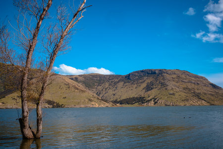 Lake Wairewa, Banks Peninsula, on a spring afternoon. Otherwise known as Lake Forsythの写真素材