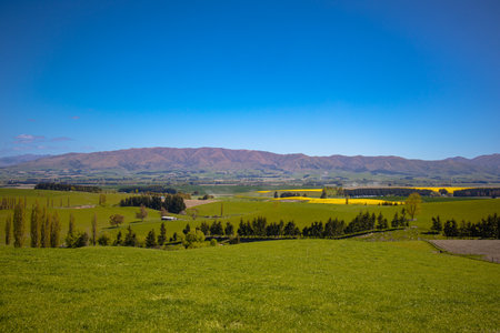 Looking out over the Canturbury Plains from the Geraldine Fairlie lookout. State Highway 79, New Zealandの写真素材