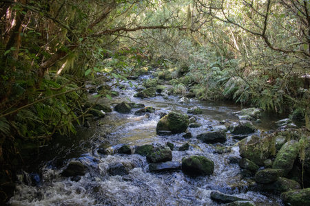 Mclean Falls, Catlins, South Island, New Zealand October shot