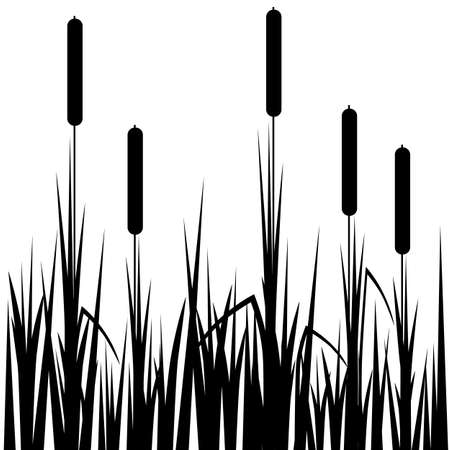 Beautiful reed black. Vector.のイラスト素材