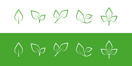 Elegant leaf icons. vector illustration.のイラスト素材