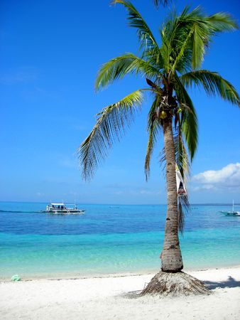 Island paradiseの写真素材