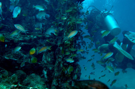 Diving a wreck
