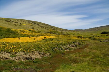 Carcass Island Hill - Falkland Islandsの写真素材