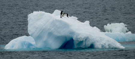 Adelie penguins on iceberg in Antarcticaの写真素材