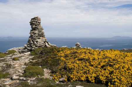 A Rock-pile atop a hill in the Falklands, surrounded by flowers and with the ocean behind.