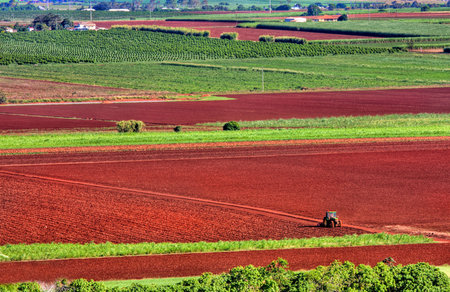 A lone tractor ploughs the red earth on a farm near Bundaberg, Queensland, Australiaの写真素材