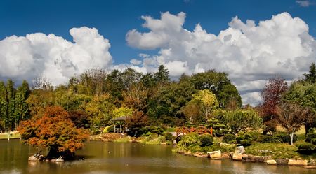 View of a lake in a Japanese Garden. Image captured in Toowoomba, Queensland, Australia.の写真素材