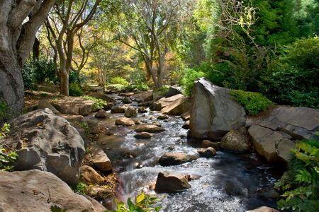 View of a stream running through a wooded areaの写真素材