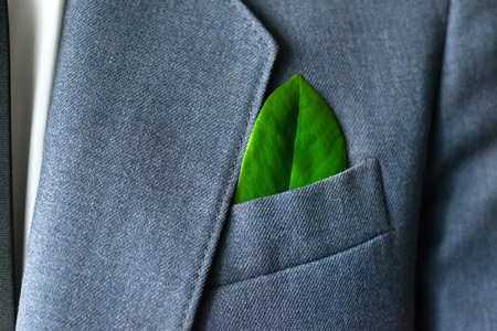 The businessman's photo in a suit with a green leaf in a pocketの写真素材