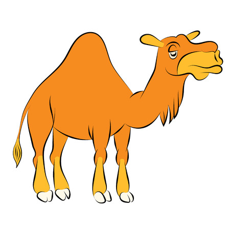 Illustration of the chewing orange camel with one humpのイラスト素材