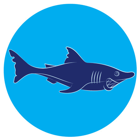 illustration of an animation sharkのイラスト素材