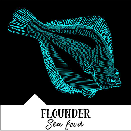 Vector illustration flounder for a seafood menuのイラスト素材
