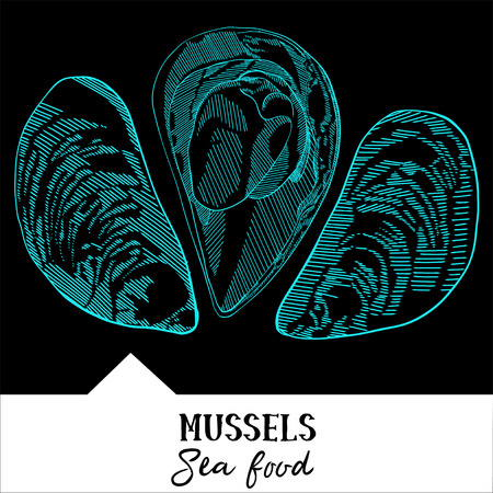 Vector illustration mussels for a seafood menuのイラスト素材