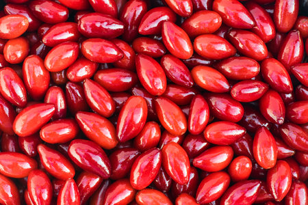 Photo of a red dogwood berry pattern for background