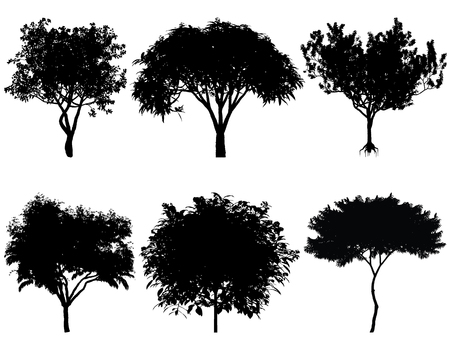 Vector illustration of tree silhouettes for architectural compositions with backgroundsのイラスト素材