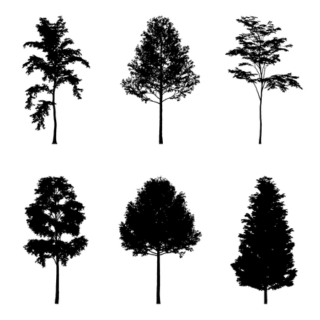 Vector illustration of tree silhouettes for architectural compositions with backgroundsのイラスト素材