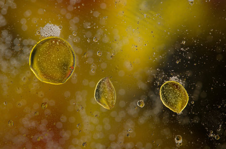 Nice colorful background with oil and water