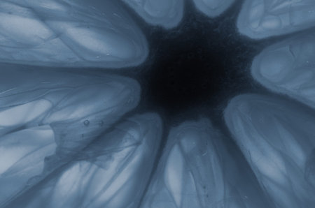 piece of grapefruit in backlight, abstract backgroundの写真素材