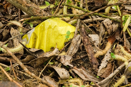 Plastic yellow bottle or cover between leafsの写真素材