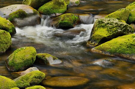 Detail of small beautiful cascade between mossy stones. の写真素材