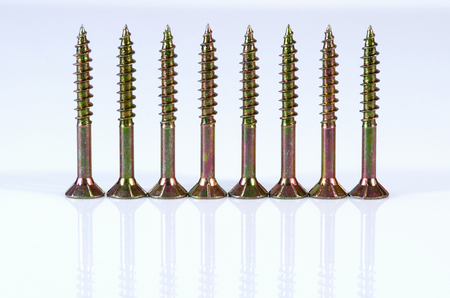 Eight screws isolated on white background with reflection.の写真素材